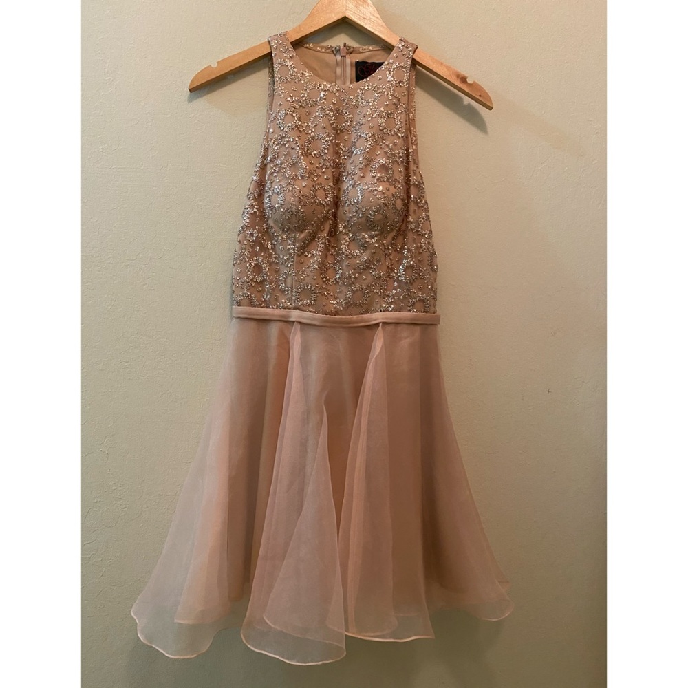 Prom Girl - Rose Formal Dress